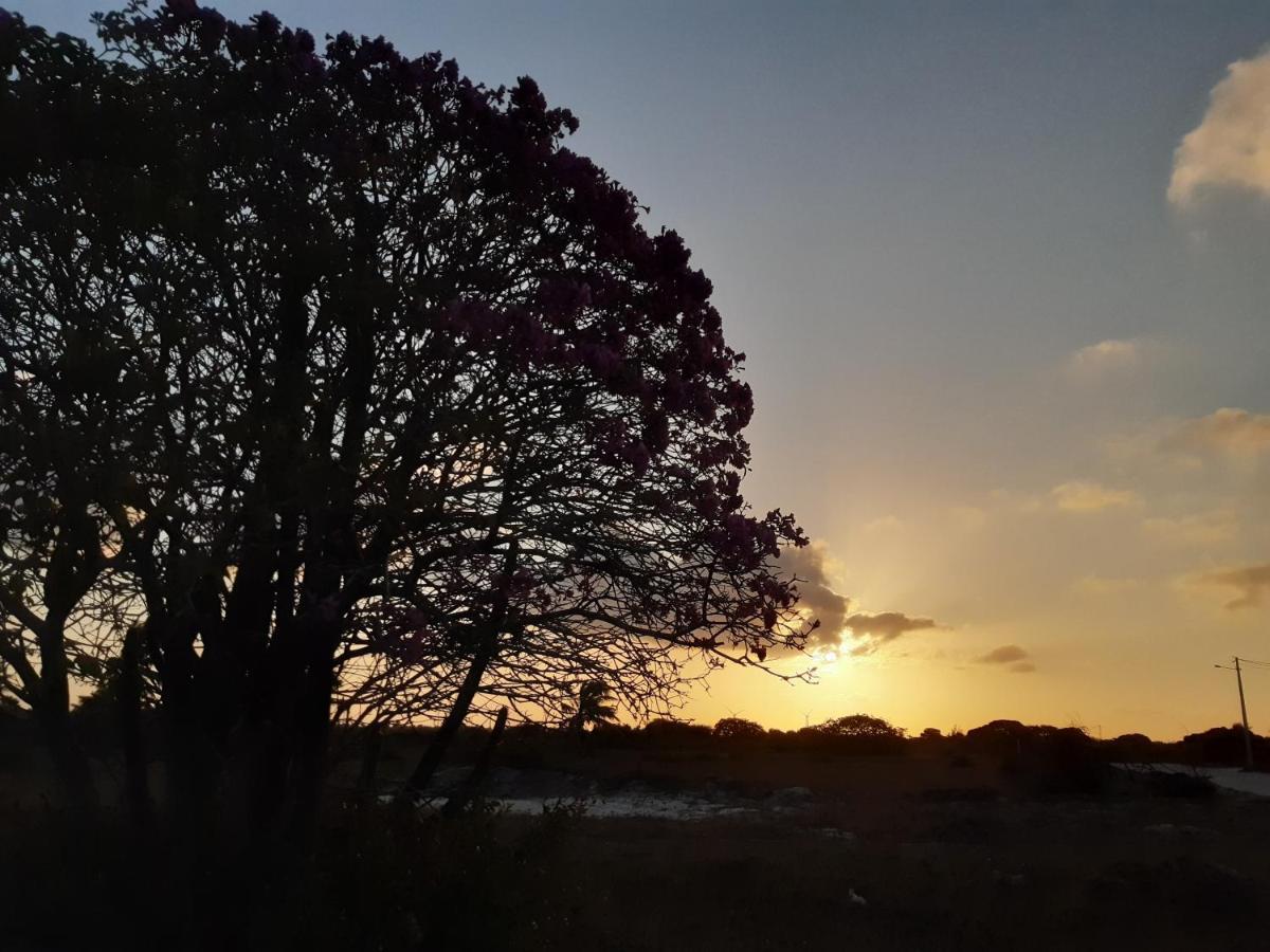 Casa De Praia Toca Da Onca Sao Miguel do Gostoso Bagian luar foto